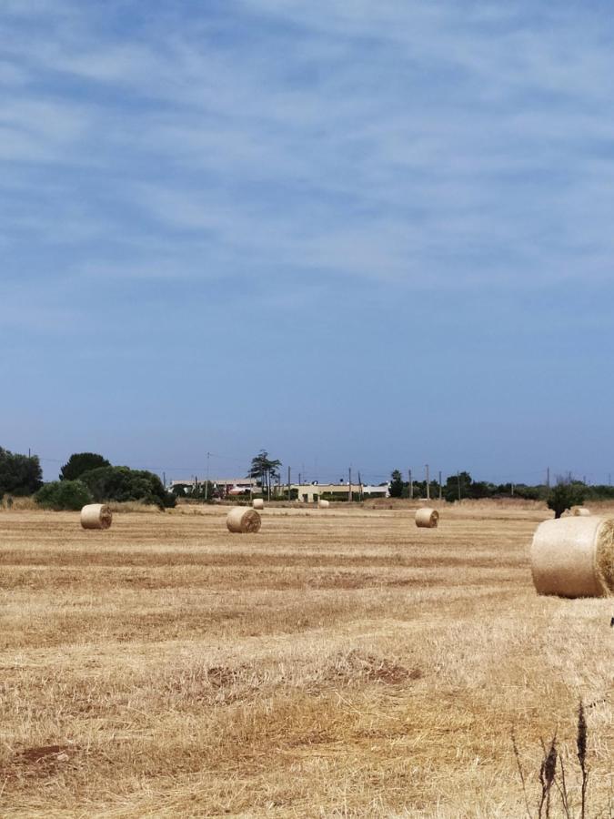 فيلا Dimora Dell'Ulivo بولينيانو آ ماري المظهر الخارجي الصورة